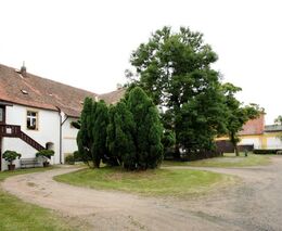 Selské dožínky ASZ Louny 