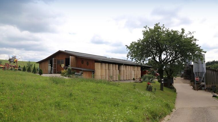 Týden v zemědělství podle Petra Havla - č. 31