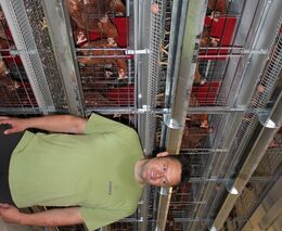 Počty slepic se mění, ale chov zůstává