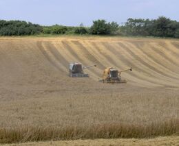Evropská komise chce osekat dotace a měnit pravidla pro zemědělce