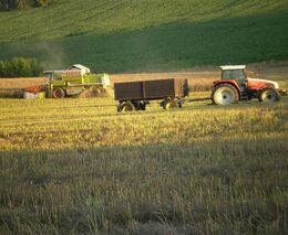 Majetkové vyrovnání nemusí moc bolet