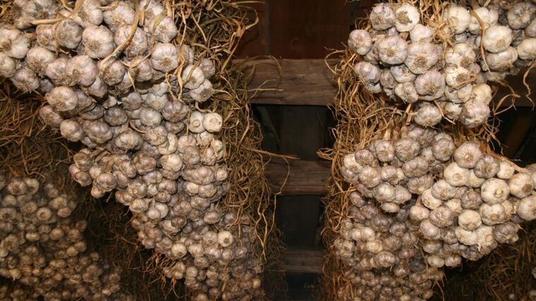 Krátkodobý zisk může být prohrou