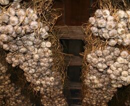 Krátkodobý zisk může být prohrou