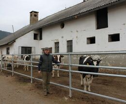 Stehlíkovi farmaří efektivně