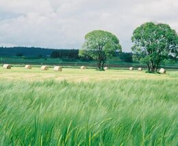 Nedovedu si představit, že bych dělal něco jiného