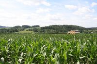 Čtvrté místo ve Farmě roku 2017 - Farma Vilímovský