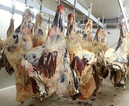 Možnosti odbytu masa koncovým zákazníkům bez vlastního zpracovatelského provozu