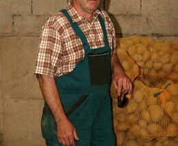 Vojtěch Koutný: Přece nedopustíme, aby Češi jedli jen brambory z dovozu! 