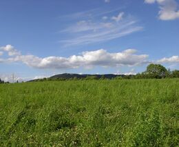 Prodej půdy je historický problém