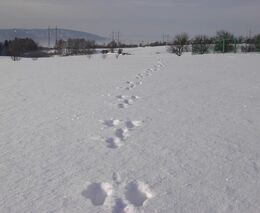 Jízdní řád EAFRD se pomalu rýsuje