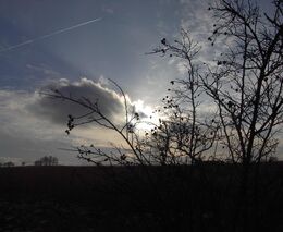 Seznam škol - kurzy zemědělských činností