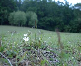 PUZČ: Pokračovat v příjmu žádostí 