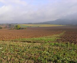 Dopis ASZ ministrovi: neblokujte pozemkové úpravy !