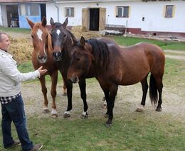 Sedlák starostou a starosta sedlákem