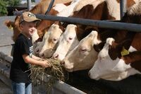 Bronzová příčka ve Farmě roku 2016 - Farma rodiny Suchých