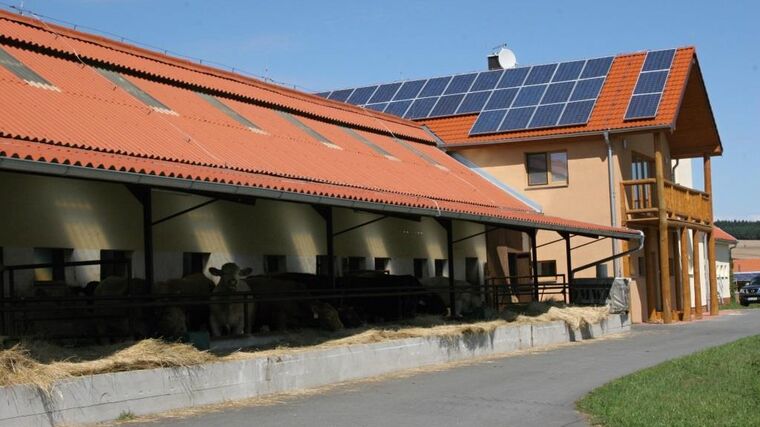 První rodinná farma se otevře veřejnosti již příští sobotu 