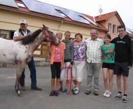 Galloway farma rodiny Vacíkových – vítěz Farmy roku 2013  
