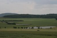 Galloway farma rodiny Vacíkových – vítěz Farmy roku 2013  