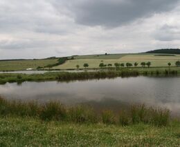 Omilostněné rybníky