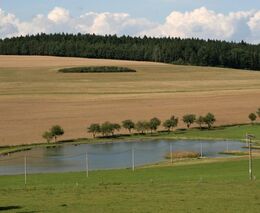 Týden podle PH č. 3 - 2020 (pH týdne: 9)