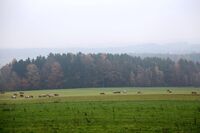 ASZ Havlíčkův Brod – Dobré místo pro chovatele a bramboráře 