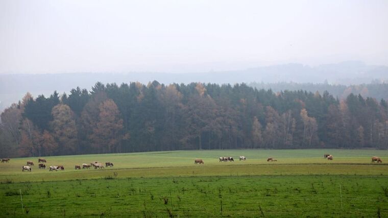ASZ Havlíčkův Brod – Dobré místo pro chovatele a bramboráře 