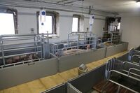 ASZ Havlíčkův Brod – Dobré místo pro chovatele a bramboráře 