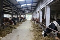 ASZ Havlíčkův Brod – Dobré místo pro chovatele a bramboráře 