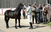 Stříbrná příčka ve Farmě roku 2014 - Farma Hrnčíř