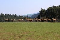 ASZ Jihlava - Sedláci si umějí vždy poradit