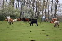 ASZ Jihlava - Sedláci si umějí vždy poradit