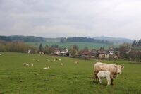 ASZ Jihlava - Sedláci si umějí vždy poradit