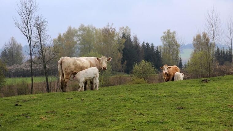 ASZ Jihlava - Sedláci si umějí vždy poradit