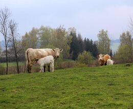 ASZ Jihlava - Sedláci si umějí vždy poradit
