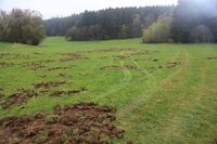 ASZ Jihlava - Sedláci si umějí vždy poradit