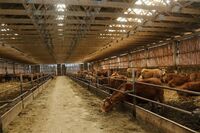 ASZ Jihlava - Sedláci si umějí vždy poradit