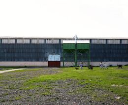 „Studenty nechte studovat.“ Poslechli jsme Ondráčka a vyrazili pomoct zemědělcům