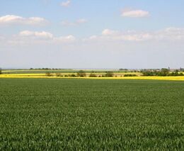 O ASZ Kolín, Kutná Hora, Nymburk 