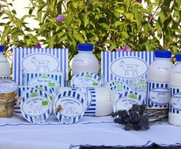 Kozí farma DoRa z Vysočiny funguje i v době koronavirové a připravuje novinky