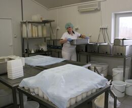 „Prošlápnutá cesta,“ kterou téměř nelze projít