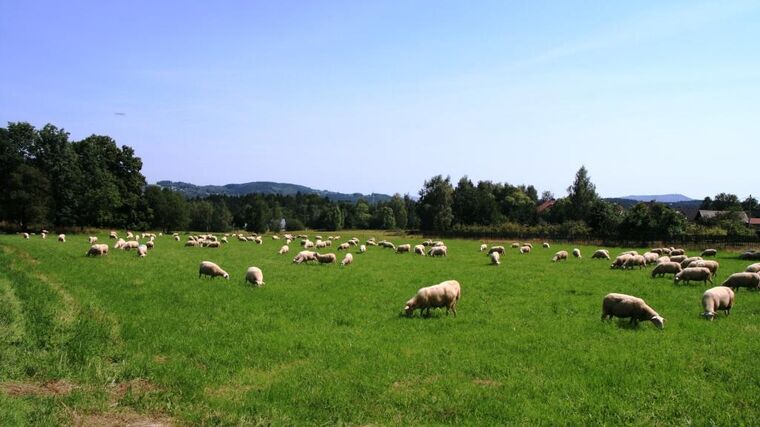 Zelené údolí KDU-ČSL 