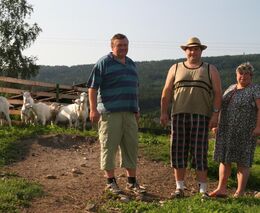 Největší kozí farmu v Česku tvoří také ovce a alpaky. Pěnčínský podnik vyhledávají i turisté