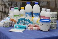 Bronzová příčka ve Farmě roku 2017 - Kozí farma Sedlák