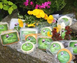 Když se chce, všechno jde