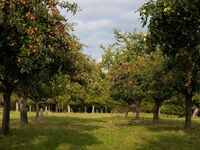 Páté místo ve Farmě roku 2019 - Veselý Grunt