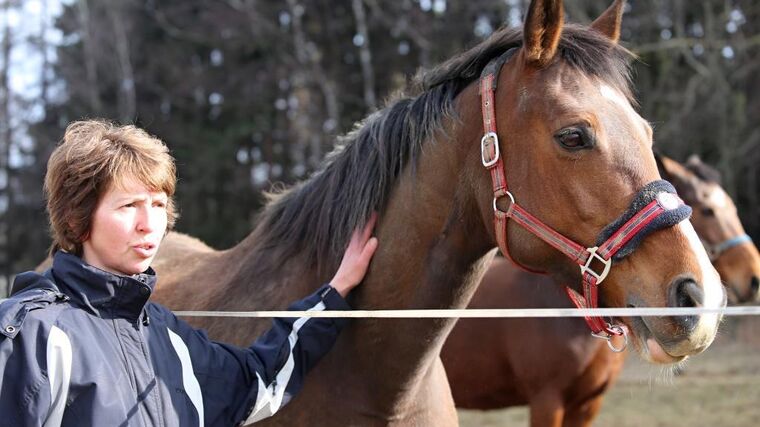 Zneužití dotací hrozí především od těch, kdo je poskytují