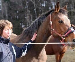 Zneužití dotací hrozí především od těch, kdo je poskytují