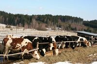 Zneužití dotací hrozí především od těch, kdo je poskytují