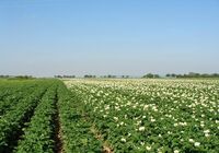ASZ Nový Jičín – Stejné místo, rozdílné hospodaření