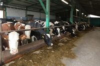ASZ Nový Jičín – Stejné místo, rozdílné hospodaření